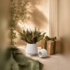 Buquê de Flores Secas com Vaso de Cimento Branco