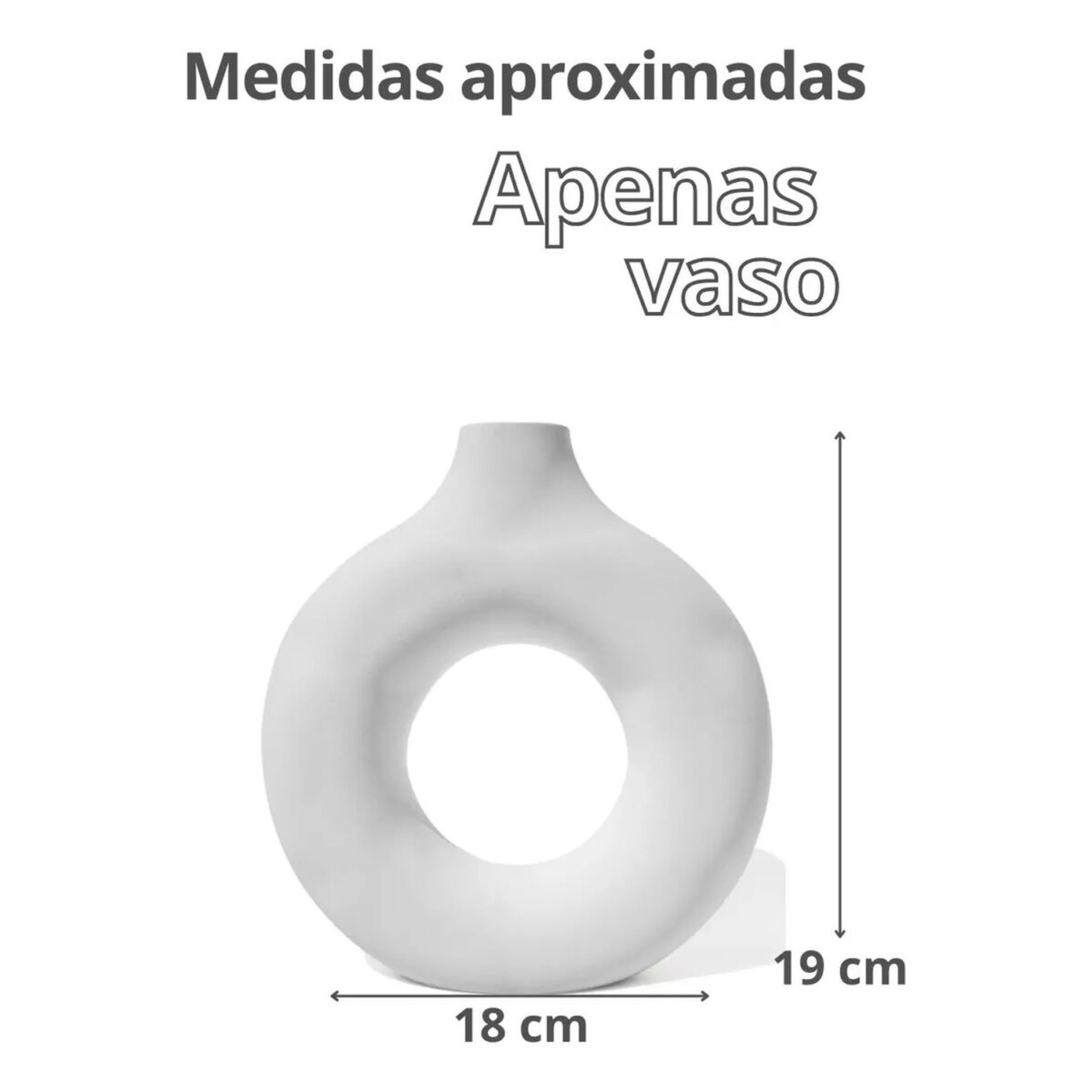 Arranjo de Flores Secas em Vaso de Cimento Solitário Lua